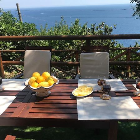 Maison Don Rafe' 포지타노 외부 사진